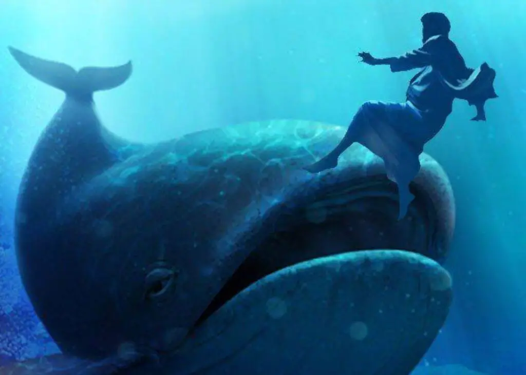 La historia de Jonás 5 Lecciones Inspiradoras, Jonas en la ballena, jonas en el pez