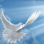 El Poder del Espíritu Santo: Transformación y Renovación